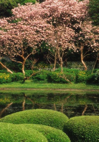 Ross, Nancy ,  Steve 아티스트의 Japan, Tokyo Imperial Palace East Gardens작품입니다.